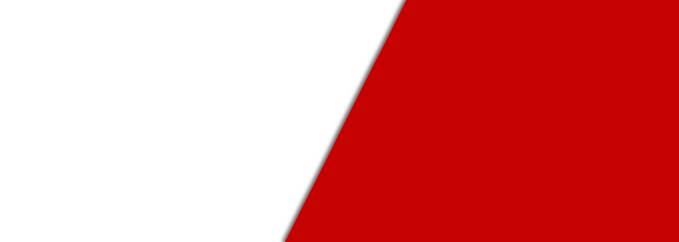 Vehicle Wrap Services